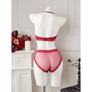 Ensemble de lingerie sexy en dentelle ajourée à col halter et décolleté plongeant, style européen et américain, vente en gros directe usine - Product Image 4