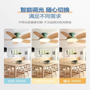 <b>Ceiling</b> <b>Fan</b> Light With Led Fixed Blade Flush Mount For Living Room Dining Room Bedroom 220V 15-30 Sqm Irradiation Area - Product Image 5