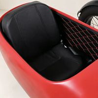 Bicicleta Eléctrica de 3 Ruedas con Neumáticos Anchos y Sidecar, Bicicleta Eléctrica con Asistencia al Pedaleo para Adultos, para Viajes con Pasajeros y Mascotas