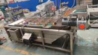 Machine de lavage et d'emballage à immersion par bulles et sécheuse à air pour légumes, fruits secs, soja, maïs, dattes et bulbes, modèle DZJX2500