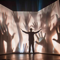Écran de projection d'ombres rétro Écran de projection de performances artistiques blanches