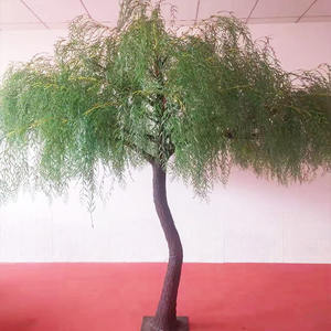 Sauce de seda artificial L141 para interior, personalizado, para el desierto - Product Image 3