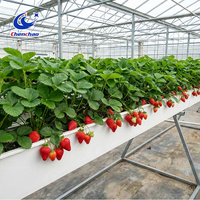 Système de gouttières hydroponiques robustes de type A pour serre, bac de culture verticale de fraises avec canaux NFT en PVC de qualité alimentaire