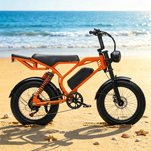 Bicicleta Eléctrica Todoterreno <span class=keywords><strong>GREENSKY</strong></span> GS-01 de 20 Pulgadas con Llantas Gruesas, 1000W, para Adultos, Venta al Por Mayor - Product Image 5