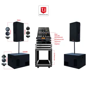 T.I Pro Audio Powerful Single15 Inch Plywood Birch PA System Sound Equipment with Bass Mixer Amplifier Speaker
