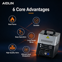 Machine à flamme double tête 250W, jet de flamme réelle avec soupape de sécurité, résistante aux hautes températures pour mariages, clubs, concerts et événements