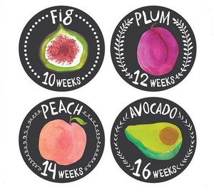 2019 Offre Spéciale Usine Fournir Directement Floral Bébé Mensuel Jalon Autocollants (<span class=keywords><strong>Lot</strong></span> de 20) -de la <span class=keywords><strong>naissance</strong></span> à 12 Mois + 7 - Product Image 5