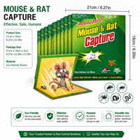 Piège à colle pliable pour rats et souris, très vendu, avec appât parfumé à l'arachide et plaque adhésive ultra-résistante pour usage domestique et en entrepôt