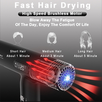 ODM/OEM disponible, directement de l'usine, sèche-cheveux professionnel BLDC 1800W avec diffuseur, 200 millions d'ions négatifs, haute vitesse 110000 tr/min