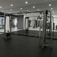 Máquina de Poleas Cruzadas Doble Ajustable, Entrenador Funcional con Tubo de Acero Desnudo de 3mm, Alta Resistencia para Gimnasio, Se Busca Distribuidor, CE