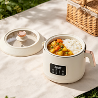 Mini cuiseur à riz intelligent pour 1 à 3 personnes, cuve intérieure en céramique antiadhésive, cuiseur à riz électrique, cuisson rapide, usage domestique