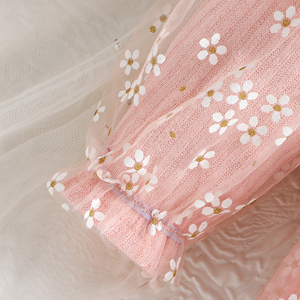 ชุดเดรสตาข่ายปักลายดอกไม้สุดน่ารักสำหรับเด็กผู้หญิง เสื้อผ้าเด็กน่ารักสำหรับงานวันเกิด ลายเจ้าหญิง - Product Image 5