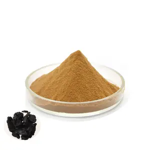 High Quality Rehmannia Glutinosa Root Extract Powder 30:1 Pure Rehmannia Glutinosa Extract