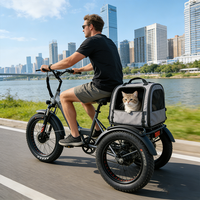 Tricycle électrique avec panier de chargement arrière, batterie lithium 36V, moteur roue arrière, tricycle cargo adulte pour la livraison à domicile et les courses