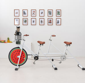 EXI New Balance Extracteur de jus Gear Juicer Vélo tandem <span class=keywords><strong>pour</strong></span> <span class=keywords><strong>deux</strong></span> à utiliser avec une machine de séparation de jus <span class=keywords><strong>pour</strong></span> un vélo monoroue de jeu - Product Image 6