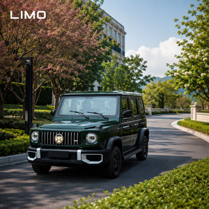 SUV Elettrico a 4 Ruote, Nuova Energia, <span class=keywords><strong>Auto</strong></span> Sportiva a Bassa Velocità, 5 Posti, Piccola <span class=keywords><strong>Auto</strong></span> Elettrica per Adulti, Trasporto Merci e Shopping - Product Image 2