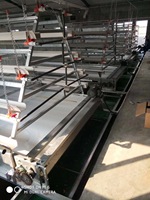 Système d'élevage commercial de cages à cailles / cages à cailles pour la production d'œufs / cages à cailles de type étagé HJ-QCX500
