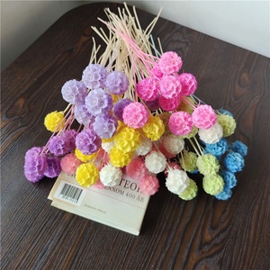 Accesorios de Flores Preservadas de China, Fruta de <span class=keywords><strong>Gusano</strong></span> de <span class=keywords><strong>Pino</strong></span> de una Sola Cabeza, Fruta Molino de Viento, Material para Manualidades, Caja de Flores con Tapa de Vidrio, Venta al por Mayor - Product Image 4