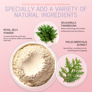 Etiqueta privada Pink Lip Care Set Exfoliate Hydrate Revitalize para labios regordetes y suaves-Fade Lines Hidratar Lip Care Set - Product Image 5