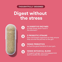 Capsules de prébiotiques et probiotiques pour l'équilibre du pH vaginal et le contrôle des odeurs, marque privée OEM, complément alimentaire à base de plantes pour la santé intestinale des femmes