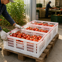 Conteneur pliable pour la récolte des fruits et légumes, 600x400x235mm, en plastique, empilable