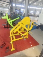 Machine d'entraînement de biceps chargée par plaque d'utilisation commerciale de RiZhao pour le GYM