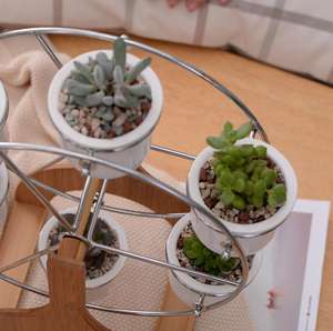 Contratto abito bianco carnosa combinazione di piante in vaso creativo ferris wheel vaso di fiori zakka vaso di fiori di ceramica - Product Image 5