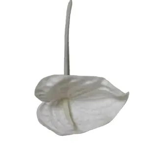 Bất động cảm ứng Hoa cưới Rose tự nhiên nhân tạo PU anthurium ánh sáng màu tím màu xám bạc màu hồng màu xanh trắng mini tiệc trang trí nội thất