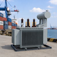 Transformateur de puissance immergé dans l'huile triphasé S20 500 kVA à trois enroulements 50 Hz 60 Hz pour distribution et usage agricole