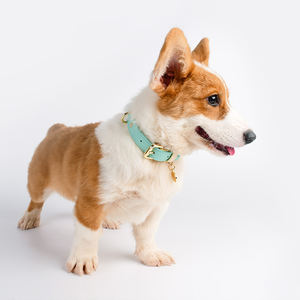 Conjunto de <span class=keywords><strong>Collar</strong></span> y Correa para Perro de Cuero PU Duradero e Impermeable, de Lujo y de Moda, Multicolor, con Logo Personalizado de Fábrica - Product Image 6