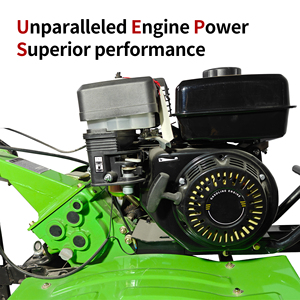 7HP 9HP macchina elettrica per uso domestico rotativa Diesel agricolo/benzina Weeder con accessori miglior prezzo - Product Image 2
