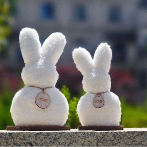 Ensemble de jouets en peluche Lapin de Pâques transfrontalier, mignon et populaire, lot de deux pièces - Product Image 6