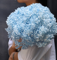 Konservierter Getrockneter Hortensienstrauß Runde Künstliche Blumen Glycerin-Blumenarrangement für Heim Hochzeit Weihnachtsdekoration