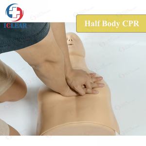 <span class=keywords><strong>หุ่น</strong></span>ฝึกซ้อมการทำ <span class=keywords><strong>CPR</strong></span> ครึ่งตัว แบบเรียบง่าย <span class=keywords><strong>ราคา</strong></span>โรงงานจีน - Product Image 2