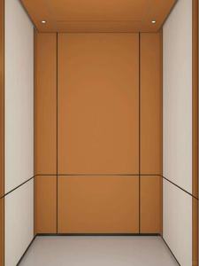 Ascensor de Casa de vidrio panorámico de pasajeros sin engranajes barato para Hotel Hospital - Product Image 2