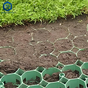 Vente en gros de pavés en plastique PEHD alvéolé de style industriel en gravier et herbe pour allée <span class=keywords><strong>jardin</strong></span> - Product Image 3