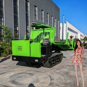 Mini Track Dumper Capacidad de carga 2000kg Mini Lift Dumper 23kw Mini Crawler Dumper para la venta - Product Image 5