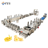 Volledig Automatische Aardappelchipsmachine Industrieel 300kg/u ODM Aangepaste Vers Gesneden Diepvries Gefrituurde Verwerkingslijn