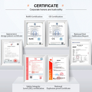 Rilevatore di fughe di gas fisso a parete per CH4, C2H4, NO2, PH3, VOC, O3, O2, Cloro, HCN, Gas Naturale, SF6, H2S, <span class=keywords><strong>Ammoniaca</strong></span>, con allarme per spazi confinati - Product Image 6