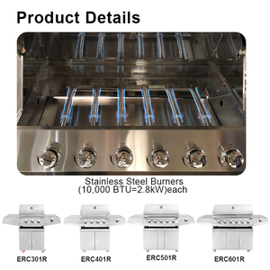 <span class=keywords><strong>Barbecue</strong></span> à <span class=keywords><strong>gaz</strong></span> portable moderne de qualité supérieure en acier inoxydable pour <span class=keywords><strong>balcon</strong></span> et cuisine - Product Image 4