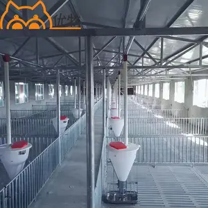 Pig Farm Automatic Feeder Piglet Housing Equipment Dry And Wet Plastic Trough For Pig Finishing Cage