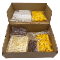 Imkerei-Werkzeuge Neues Jenter Königinnenzucht-Set Bienenköniginnen-Aufzuchtbox-Kit