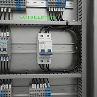 GOTOELE MCB SPD 2P Tipo OVBR BT2 20KA 220V 50/60Hz Montaje en Riel Uso Industrial Capacidad de Ruptura de 10kA Protección LSIG