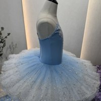 Gaun Tutu Balet Swan Lake untuk Anak Perempuan, Tutu Pancake Profesional dengan Renda & Aplikasi Bunga, Kostum Tari Anak untuk Rekaman