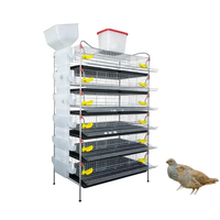 Cages à cailles empilables en acier galvanisé avec système intégré d'eau et de nourriture, conception en treillis métallique