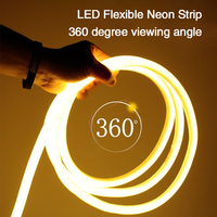 Bande lumineuse led en silicone, ruban en néon, flexible, pour décoration, 6mm, 8mm, 120 diodes/m, vente en gros, 12v