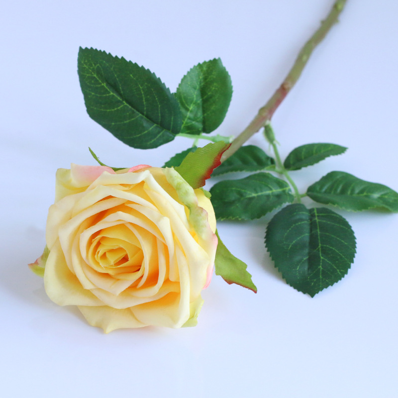 Giallo