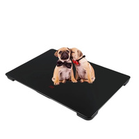Balance postale Veidt 100 kg, prix usine, grande plateforme, balance électronique pour animaux de compagnie, balance numérique pour chien