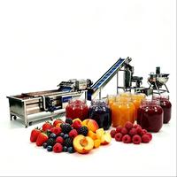 Fruitverwerkingsmachine, fruitjam productielijn, fruitjam maaklijn, kleine jamverwerkingsmachine