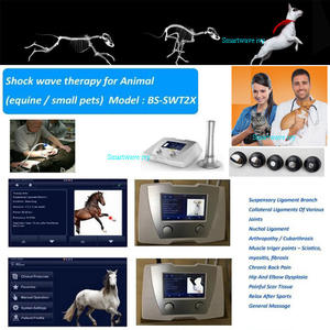 Dispositivo de alivio del dolor Eswt Shockwave Machine para uso en centro de rehabilitación equina - Product Image 5